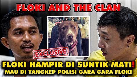 Cerita Sedih Shine And Floki Dari Mau Disuntik Mati Sampe Mau