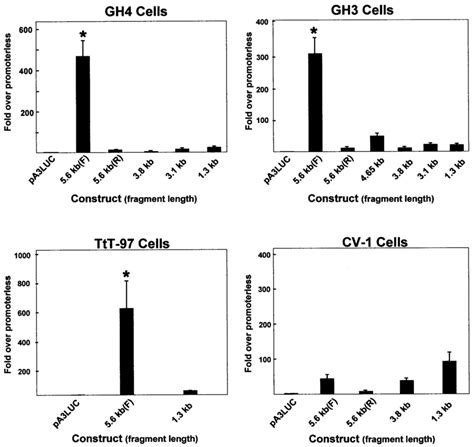 Promoter Activity Of Genomic Fragments In Pituitary Somatotropes Download Scientific Diagram