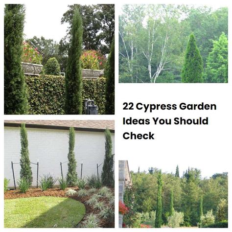 22 Cypress Garden Ideas You Should Check SharonSable