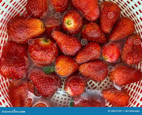 Red Strawberries Soaked In Water Stock Image Image Of Nutrition