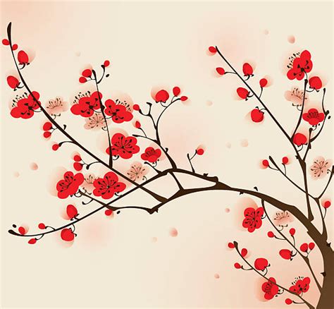 Best Plum Blossom Illustrations Royalty Free Vector Graphics And Clip