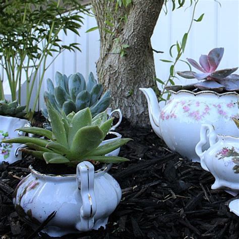 How To Plant Succulents In Pretty Tea Cups