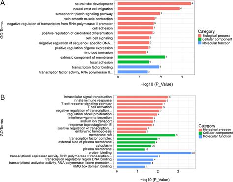 Functional Enrichment Analysis Of Methylated Differentially Expressed