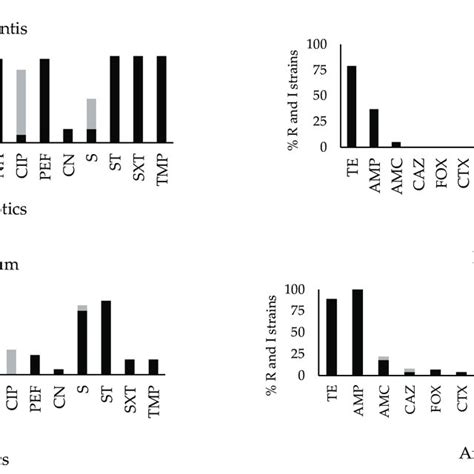 Source and serotypes of Salmonella strains. | Download Scientific Diagram 