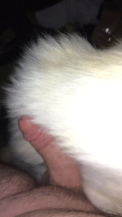 Fur Coat And Cock Gay Big Cock Big Cock Porn Feat Rose Exotico Xhamster