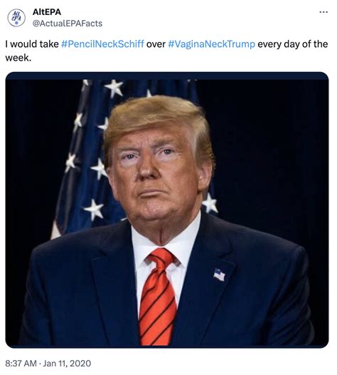 VaginaNeckTrump Donald Trump S Neck Pussy Know Your Meme
