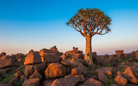 Keetmanshoop: Highlights, Trip Builder & More | Viatu Travel