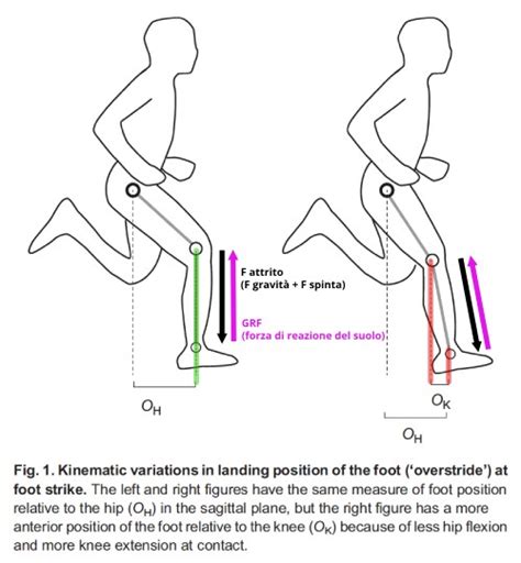 Biomeccanica Del Passo Della Corsa Movement Meets Life