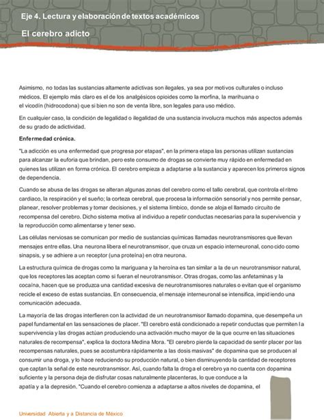 Eje Elaboraci N De Textos El Cerebro Adicto Pdf