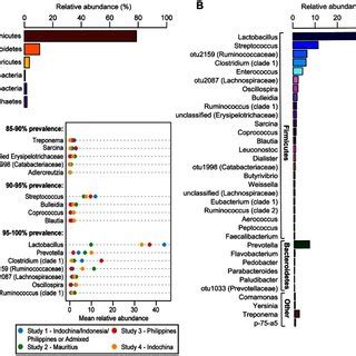 Rank Abundance Plots Of A Phyla And B Top 34 Most Abundant Genera