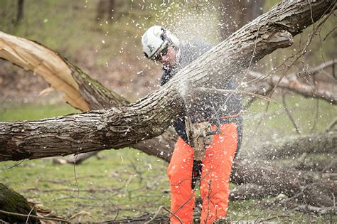 Chainsaw Rotational Kickback Arbortimes