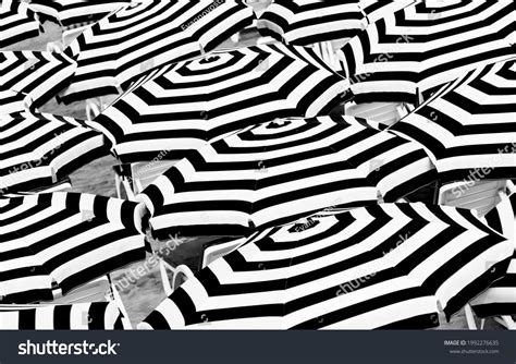 12,846 Black And White Image Of Beach Umbrella Images, Stock Photos & Vectors | Shutterstock