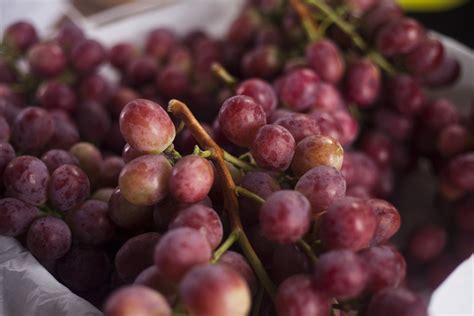 Per Se Convierte En Primer Exportador Mundial De Uvas Noticias