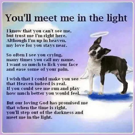 28 best **Dogs: Prayers For Loss** images on Pinterest | Rainbow bridge, Loss of pet and Prayer