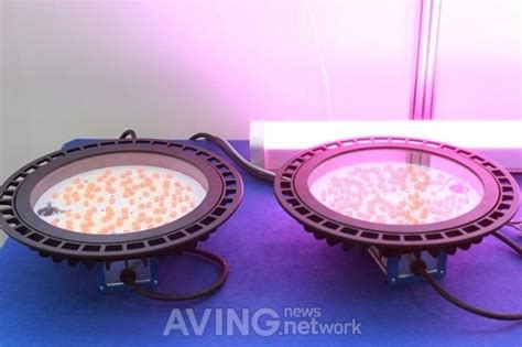 LED OLED EXPO 2020 GL Vision To Commercialize QD Lighting Applied