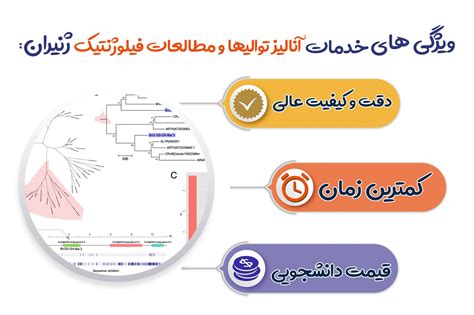 آنالیز توالیها و مطالعات فیلوژنتیک خدمات آنالیز توالی آزمایشگاه ژنیران