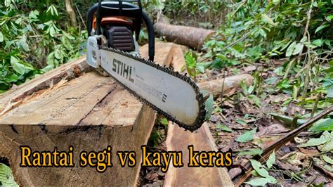 Belah Kayu Keras Pakai Rantai Segi Oregon Chainsaw Stihl Ms382