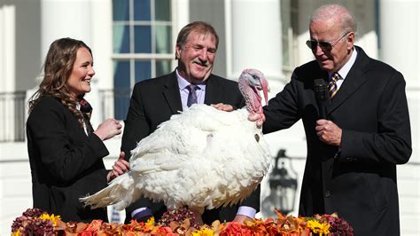 President Biden Pardons Thanksgiving Turkeys Chocolate And Chip