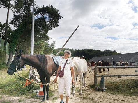 Tout Un Centre Questre D M Nage Cheval Le Long Du Canal De Nantes