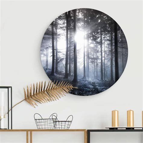 Tableau en alu Dibond Rayons de soleil dans la forêt bleue Rond