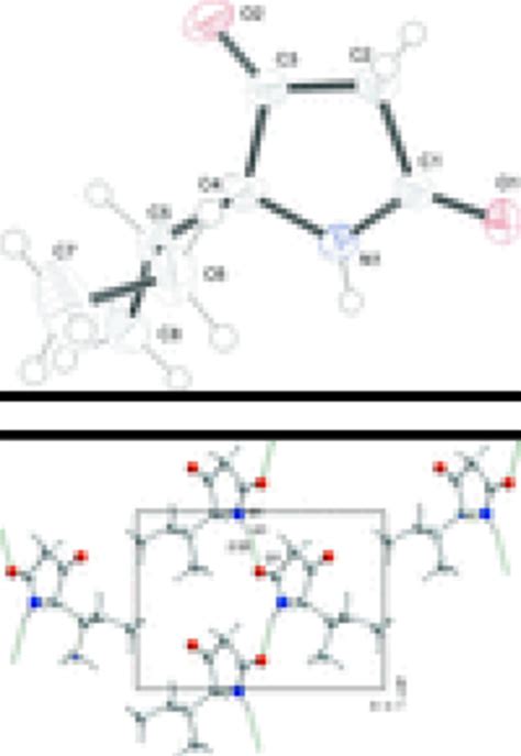 View Of The Unit Cell Of The Title Compound Along [100] Showing The Download Scientific