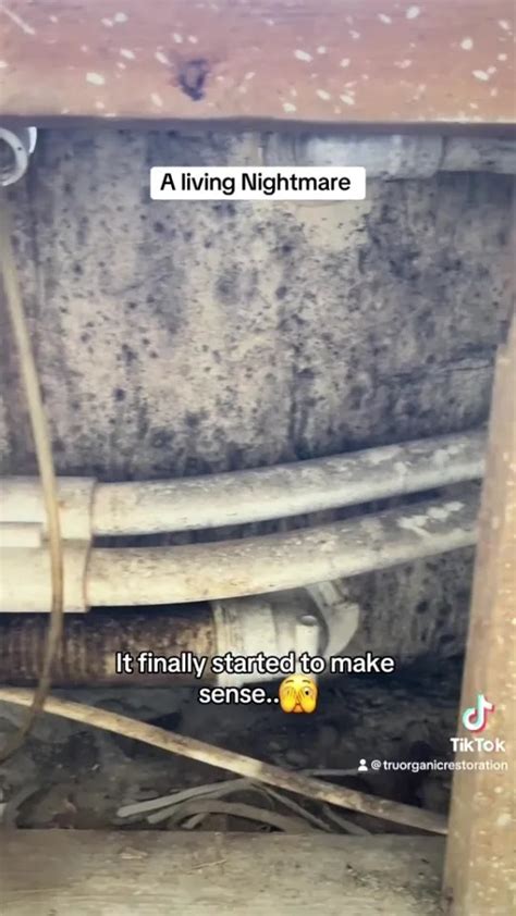 Sex M Nader Efter Att Ha Flyttat In I Ett Nytt Hus G R Kvinnan En Chockerande Uppt Ckt Under