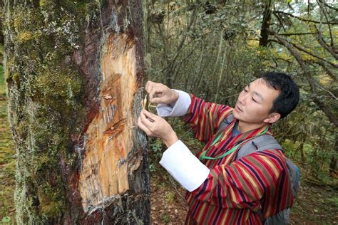 In the unspoilt valleys and villages of Bhutan, a way of life continues ...