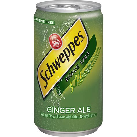 Schweppes Ginger Ale Can 12 Oz 2 X 12 Convenient Distributor