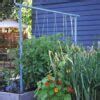 How To Make The Best Diy Tomato Trellis Stake Weave Hybrid