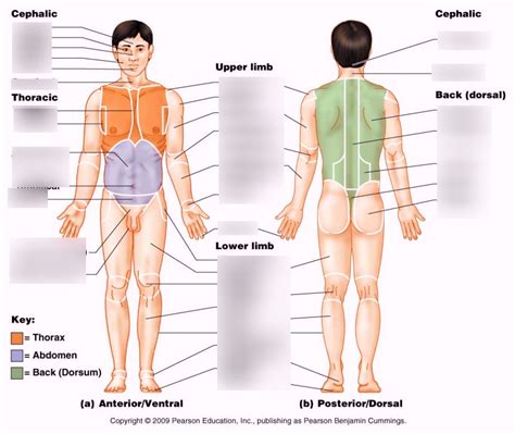 Chapter 1 Naked Man Pt 2 Naked Man Pt 3 Naked Man Pt 4 Naked Man Pt