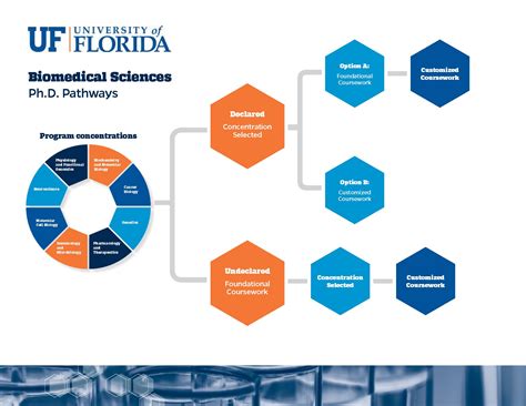 Programs Graduate Program In Biomedical Sciences College Of