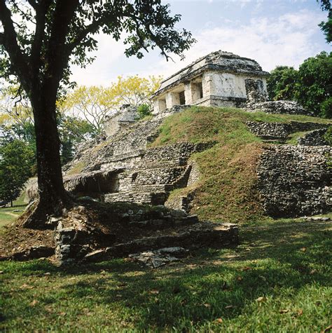 Mayan Ruins Palenque Chiapas Mexico Bild Kaufen Lookphotos