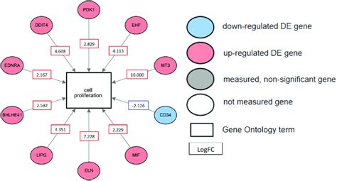 Gene Ontology Analysis Of The Biological Process Cell Proliferation Download Scientific