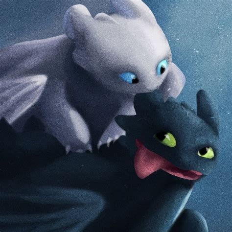 Toothless and the Light Fury. :) | How train your dragon, How to train ...