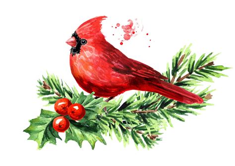 Popular Songbirds That Decorate The Holidays Farmers Almanac