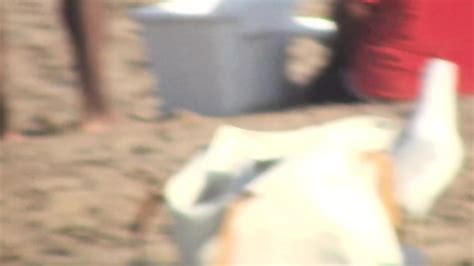 Bikini Beach Girl Video Vol