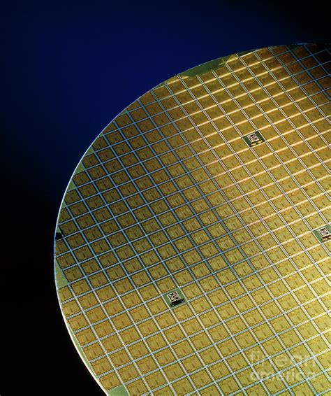 Silicon Wafers With Its Chips By Colin Cuthbert Science Photo Library