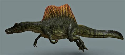 Fossilguy Spinosaurus The First Semi Aquatic Dinosaur Facts And