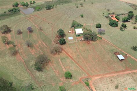 Sitio Pecuária em Ouroeste SP à venda Compre direto do vendedor 705022