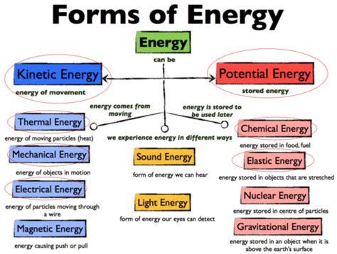 Bioenergetics Flashcards Quizlet