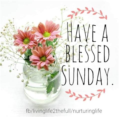 Pin By Debbie Pins On Greet The Day Good Morning Happy Sunday Sunday