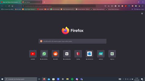 rule this firefox theme is so pretty : r/196