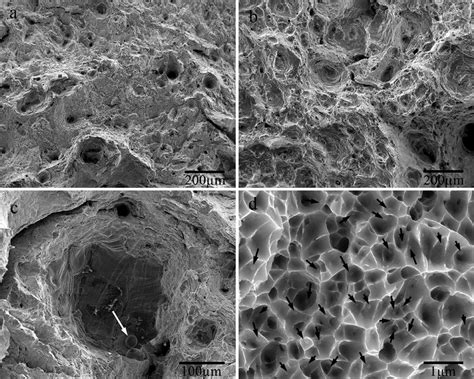 SEM Fractographs Of SLM SS316 Specimens That Are Tensile Tested