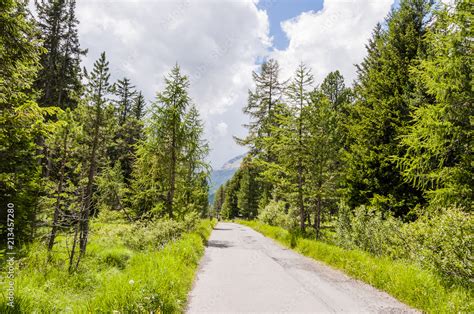 Foto De St Moritz Stazerwald Wanderweg Radweg Stazersee Bergsee