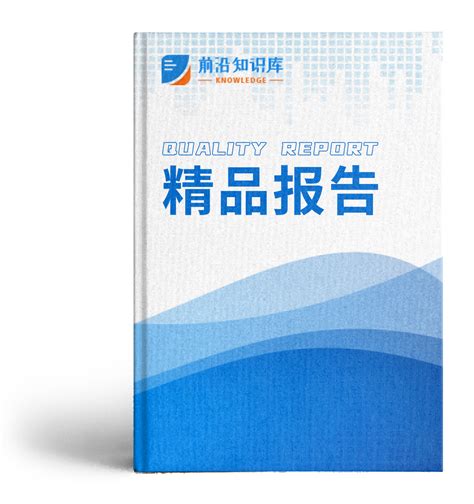 2021年“十四五”中国服装行业市场前景及投资研究报告 前沿知识库