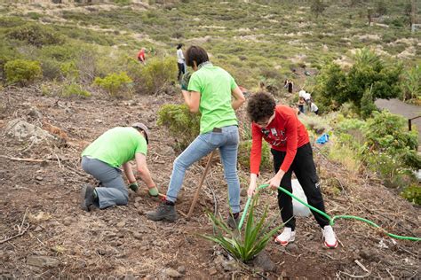 Keroxen planta 200 especies endémicas en el Jardín Canario de Bajamar