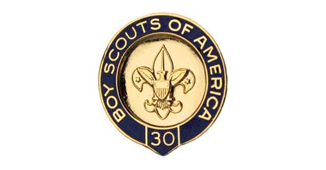 Bsa Veteran Scouter Recognition Pin Bsa Chippewa Valley Council