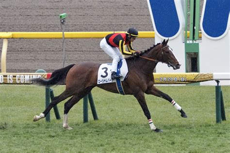 【新馬 東京4r】ドゥラメンテ産駒 ショウナンダールが6馬身差圧勝 競馬ニュースなら「競馬のおはなし」