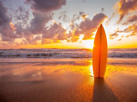 Surfboard On The Beach In Sea Shore At Sunset Time With Beautiful Light