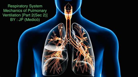 Medical Physiology Respiratory System Mechanics Of Pulmonary